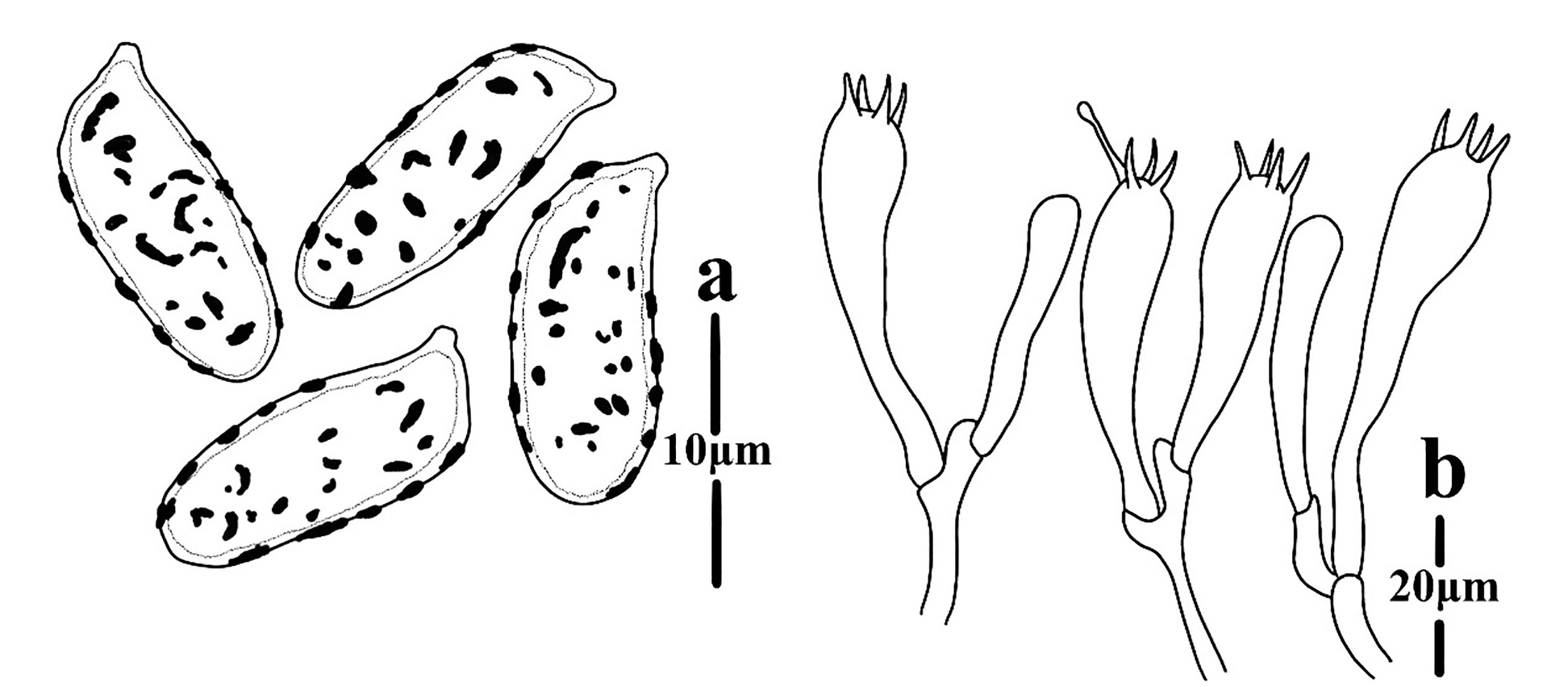 Figure 56